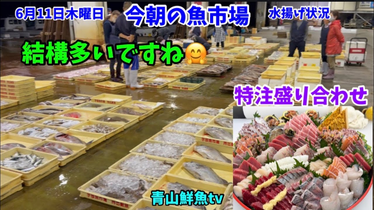 牛魚女山☆ Big catch today] This morning's fish market: Thursday, June 11th