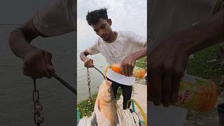 Catching big fish using Katla fish bait #fishing #fishingbait #shots