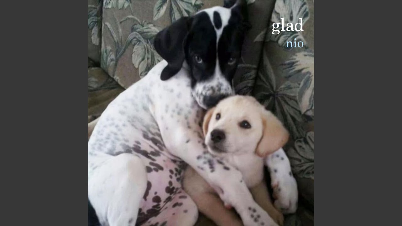 Watch glad on YouTube Watch glad on YouTube