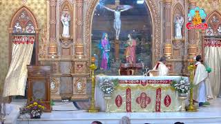 🔴 Live 10 May 2026 @ Vailankanni Shrine Basilica screenshot 4