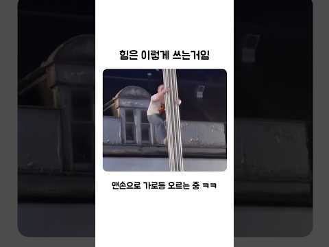 힘은 이렇게 쓰는거임 thumbnail
