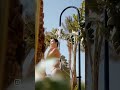 Мега-стильный отель в Хургаде! Подробности: +79277400774