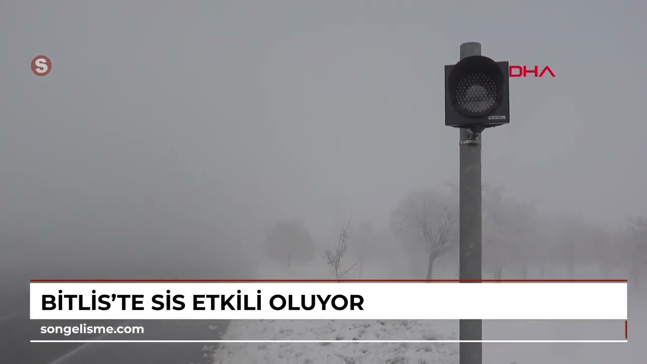 Bitlis’te sis etkili oluyor