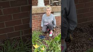 Mom’s Over This Rose