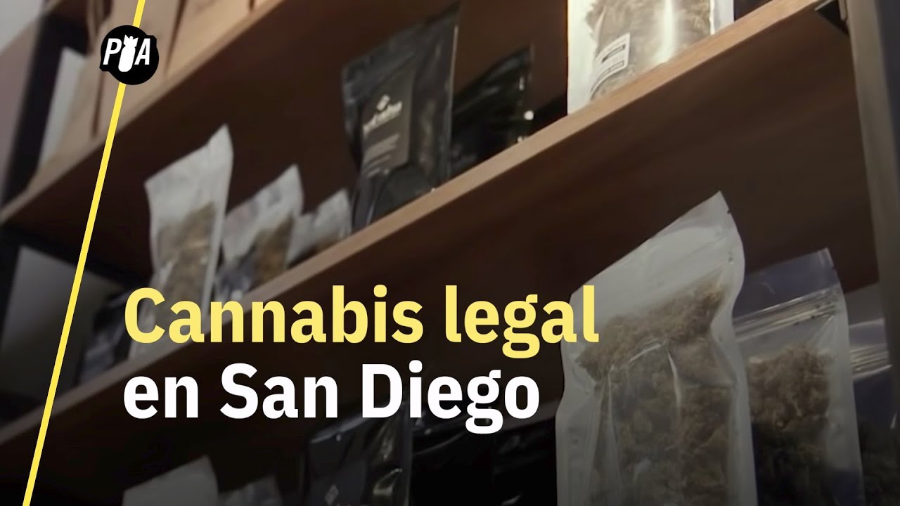 Así es comprar cannabis legal en San Diego, California
