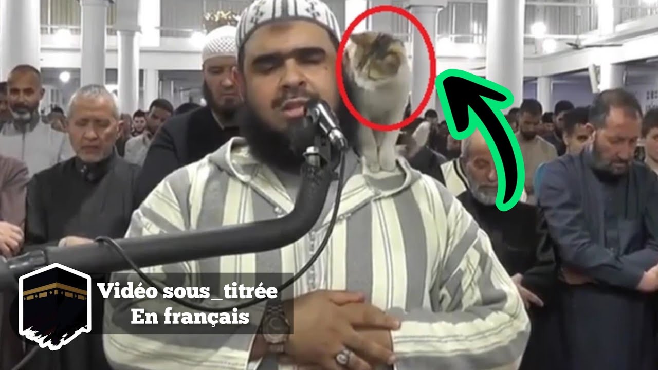Imam et Chat : La Prière qui a Fait Craquer Internet !  [les versets sont sous_titrés en français]
