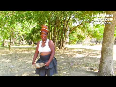 Sekuru Zimunhu Ndoenda Official Video
