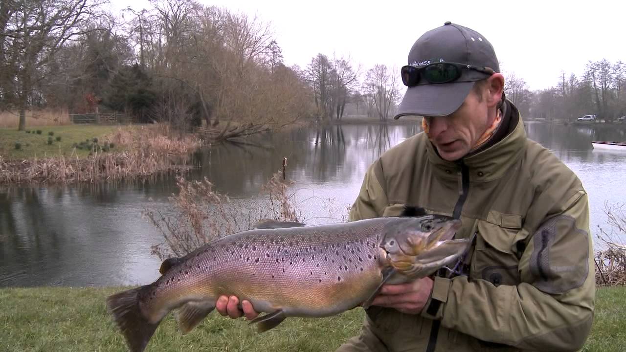Stalking Big Brown Trout Fly Fishing Lechlade YouTube