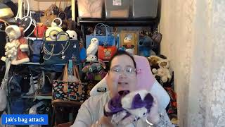 Full GOODWILL all the Boyd's bears! #unboxing News