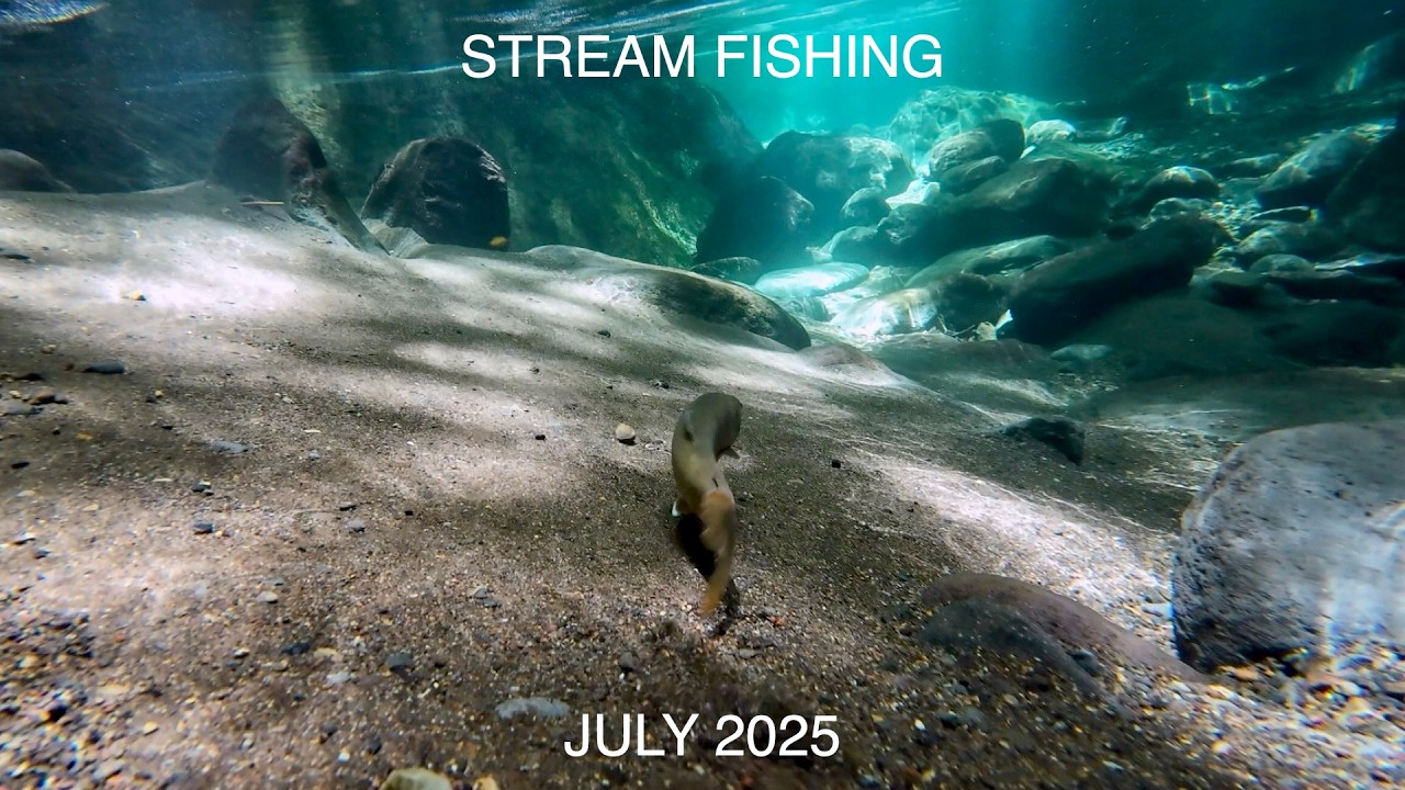 ヤブ漕ぎして高巻きしたらそこは天国だった【渓流釣り】