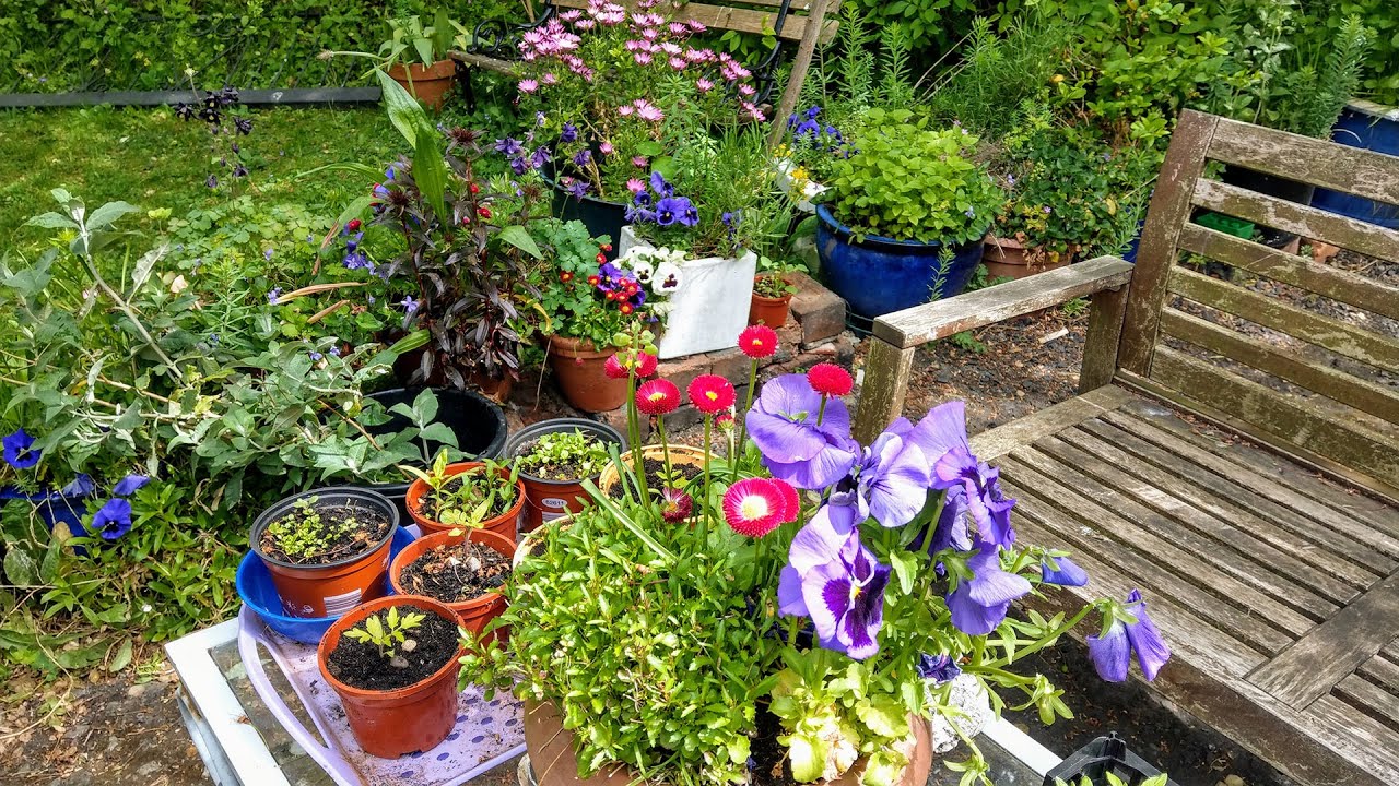 Lockdown Garden YouTube