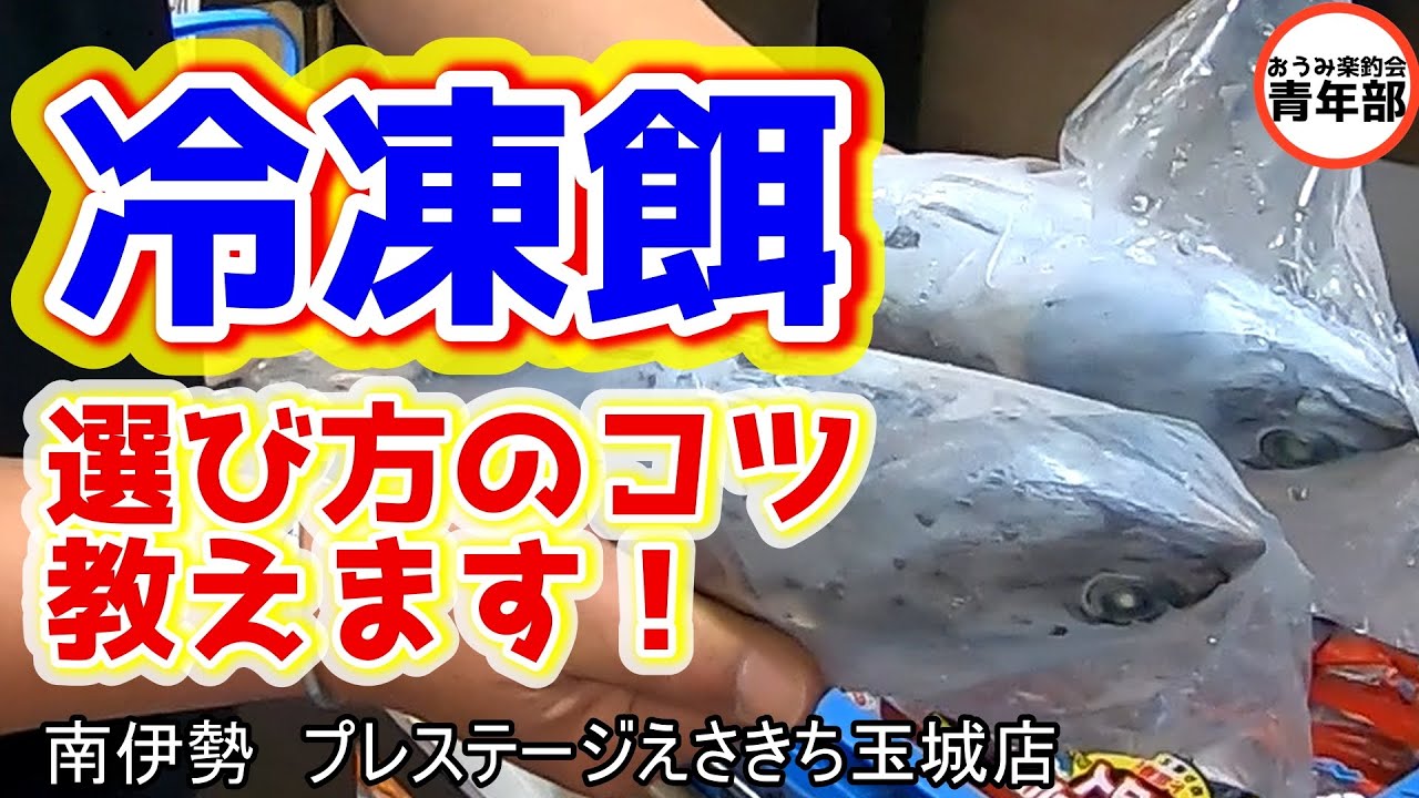 Fishing/Sea Fishing Pond] Don't underestimate frozen bait! The