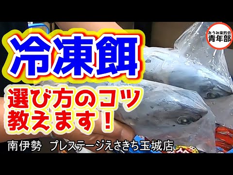 Fishing/Sea Fishing Pond] Don't underestimate frozen bait! The