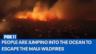 People are jumping into the ocean to escape the Maui wildfires