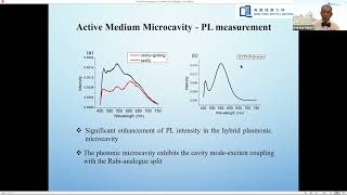 Hybrid Loss-compensated Plasmonic Device