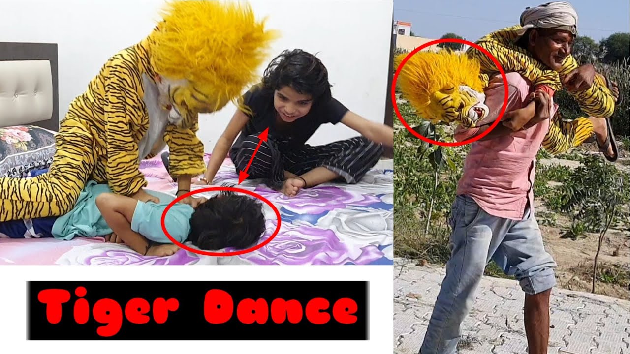 Tiger Dance|Funny video|Fake Tiger Prank|Fake Tiger vs Crazy Man Prank|Comedy video|Memes
