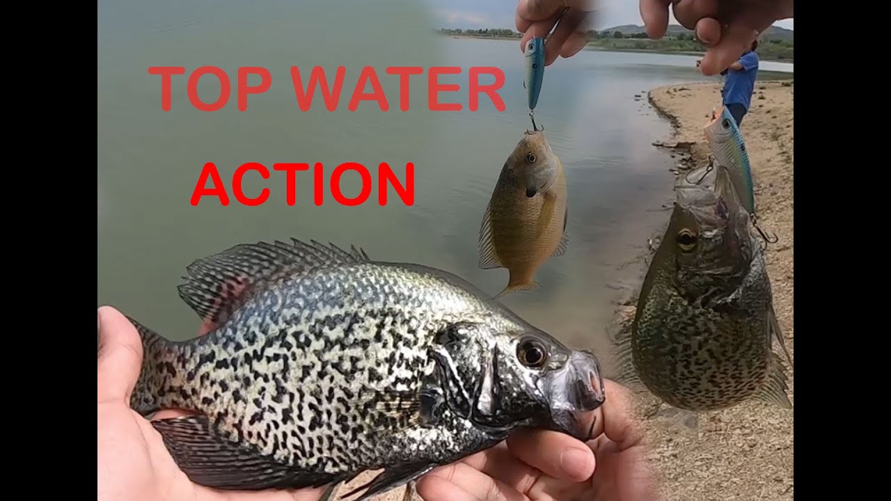 TOP WATER CRAPPIE?? Lon Hagler CO YouTube