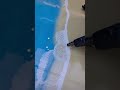 Beautiful epoxy floor🌊 #flooring #cgff2026 #epoxy