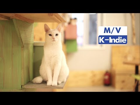 나는 고양이와 살고 있습니다 (Feat. 양반, 오복) M/V 영상 썸네일