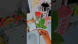 Meet My Cute &amp; Mini Organiser 🥀❤️‍🩹#beautifull#artist#love#supportme🥹#artsysafiya#ytshorts