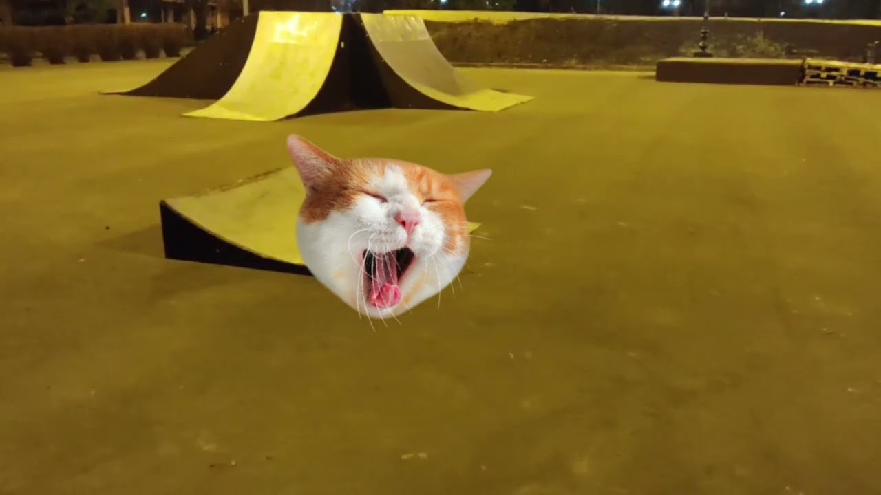 Team durango desc 210 , первый выезд на шорт корс. Первый краш.