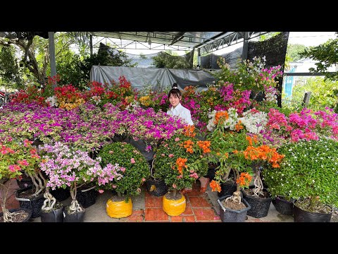 Video Hoa Giấy màu Đẹp chơi Tết, Trang Mai Me Siro - 20/8... - youtube