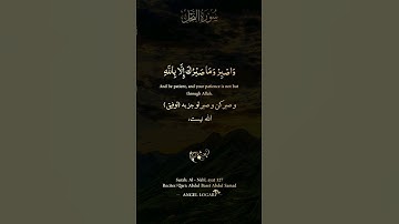 وَاصْبِرْ وَمَا صَبْرُكَ إِلَّا بِاللَّهِ - شیخ عبدالباسط عبدالصمد رحمة الله - سورة النحل، آیه ۱۲۷