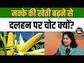 Ethanol Blending और मक्के की खेती पर कृषि अर्थशास्त्री Shweta Saini ने बताई हैरान करने वाली बात