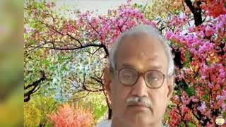 शिवबाबा दृष्टि