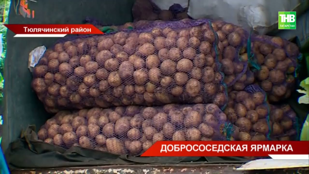 Необычная сельскохозяйственная ярмарка прошла в Тюлячинском раойне Татарстана