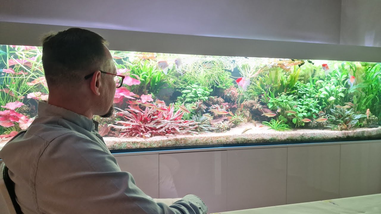 U Akwarysty w Białymstoku:) mega zbiornik!