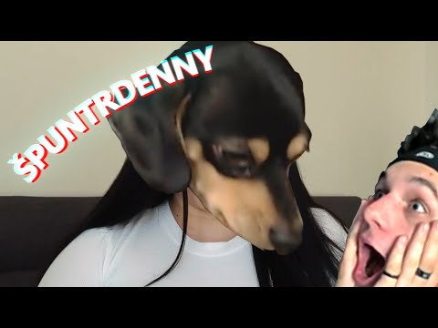 ŠPUNTRDENNY