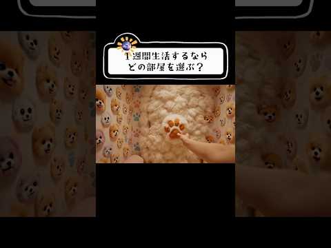 究極の選択🫧癒しの動物部屋どれを選ぶ？🐶