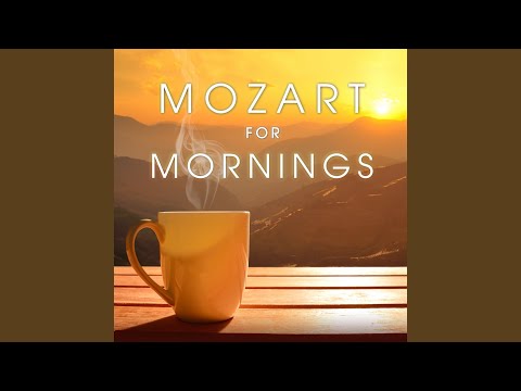 Symphony No. 6 in F Major, K. 43: II. Andante