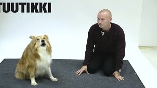 Did This Guy Really Figure Out How To Talk To Dogs? screenshot 3