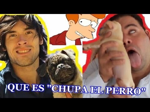 QUE SIGNIFICA CHUPA EL PERRO DE HOLA SOY GERMAN - YouTube