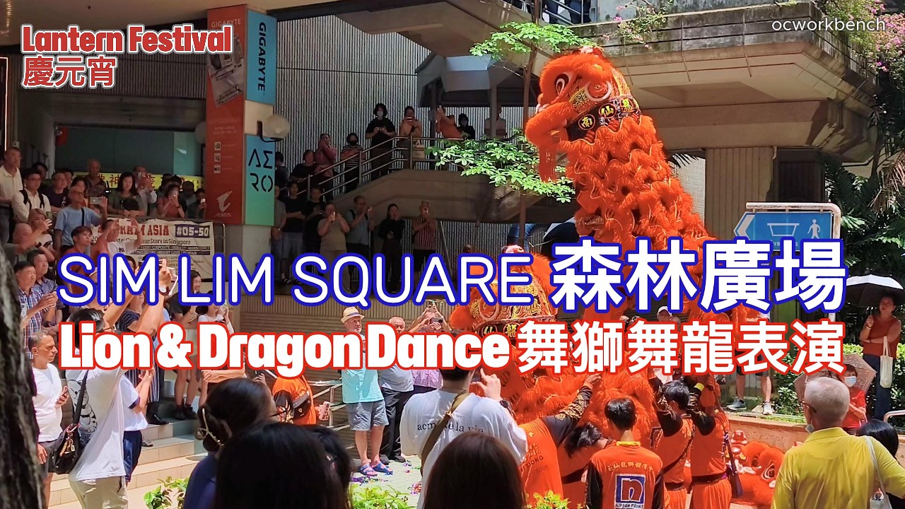 森林廣場慶元宵-南仙舞獅團精湛演出。SIM LIM SQUARE Lantern Festival  Lion Dragon Dance by Nan Sieng Dragon & Lion Team
