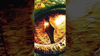 Smaug The Dragon in 4K 🐉🔥 | Epic Hobbit Edit | Cinematic Fantasy Short 😮💨 #fyp #hobbit