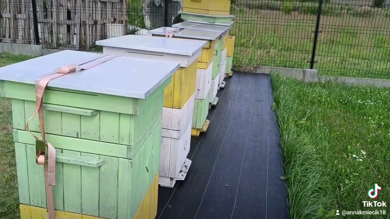 Późne pożytki... jechać czy nie?