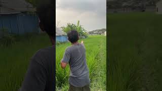 Download Lagu sambitan #remix #liriklagu #layangan #adulayangan #dj #layanglayang MP3