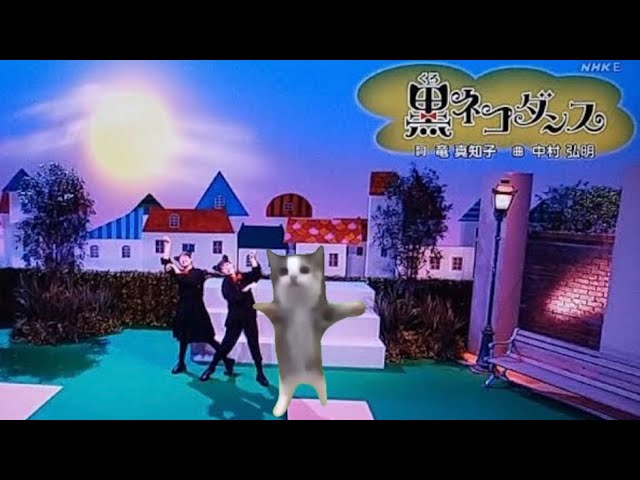黒猫ダンス　猫パペット　手袋シアター　人形劇　ねこ 黒猫ダンス 猫パペット 手袋シアター 人形劇 ねこ 黒猫ダンス 猫