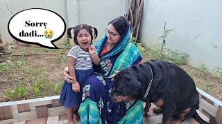they are like Tom and jerry | rottweiler dog video | funny dog video | #dog #rottweiler #funny |