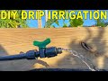 DIY Drip Irrigation Fed By Rain Barrels AND A Spigot [The BEST Guide]