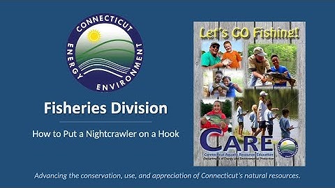 How to Put a Nightcrawler on a Hook