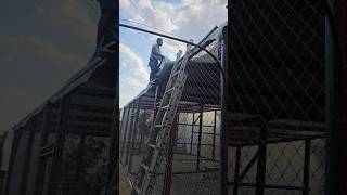 OUR TWO NEW CAT ENCLOSURES ARE FINALLY GETTING FINISHED 🎉