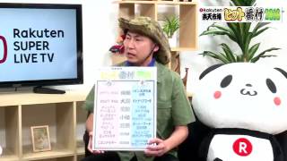 【楽天市場】年末年始SP! 楽天市場 福袋＊初売り特集2017～初夢・初売り・初笑い～