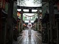 Ancient Kyoto Shrine Rainstorm | Peaceful Miko Under Rain for Deep Sleep 🌧️ #ambience #heavyrain