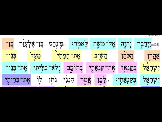 Pinchas 2 of 13   Verse 11
