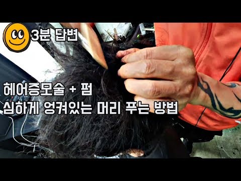 헤어증모술과 펌으로 심하게 엉켜있는 머리 간단하게 푸는 방법
