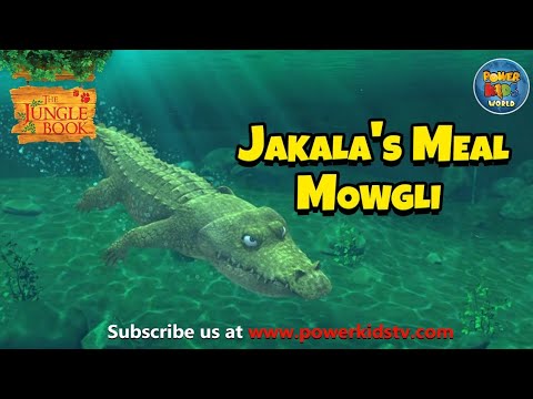 The Jungle Book | Jakala's Meal - Mowgli | Mega Episode | @THEJUNGLEBOOKOFFICIAL